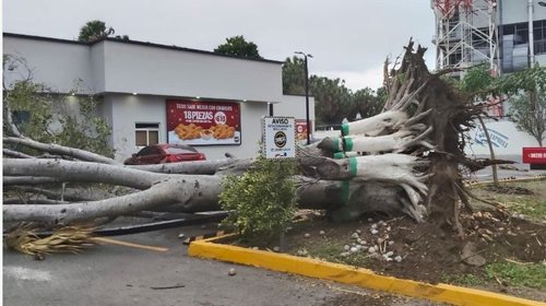 Frente frío 25 deja daños y fuertes vientos en Tamaulipas