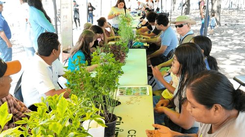 Promueven Monterrey cuidado ambiental en 'Alameda de Pinta'