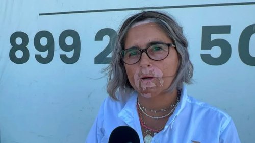 Alertan por golpe de calor en mascotas en Reynosa
