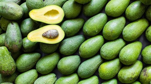 AMLO asegura normalización de exportación de aguacate a EUA