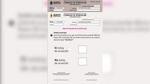 Aprueba IEE boletas de consulta por Vía Libre