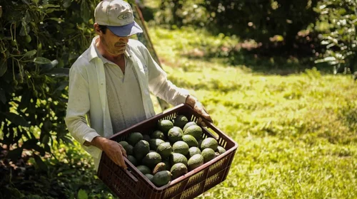 Aranceles afectarán en 475 mil mdd a exportaciones mexicanas