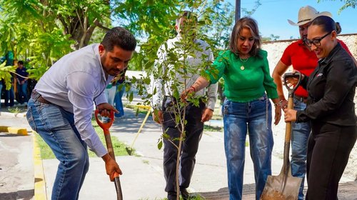Plantan 60 fresnos en IMARC para fortalecer áreas verdes