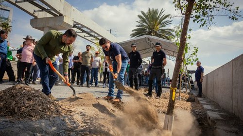 Arranca arborización de Parque Lineal Línea 4 en av. Constitución