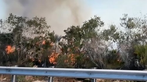 Arrasa incendio con más de 10 mil hectáreas en Florida
