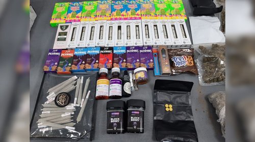Aseguran diversas drogas en paquetería de Santa Catarina