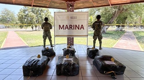 Aseguran más de 260 kilos de cocaína en las costas de Michoacán