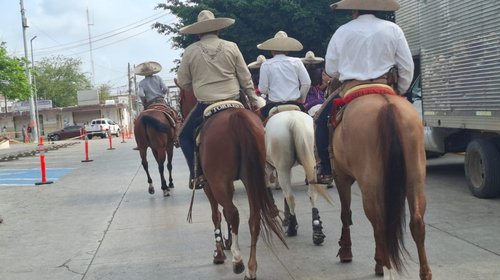 Altamira crea registro para controlar caballos en calles