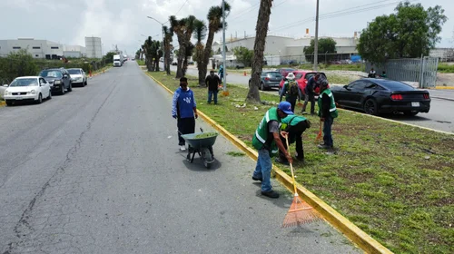 Reanudan limpieza y reparaciones de alumbrado en Ramos Arizpe