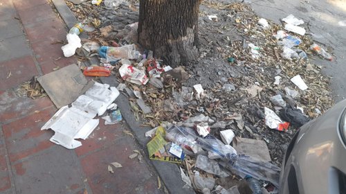 Limpian corredor peatonal en avenida Colón tras reporte