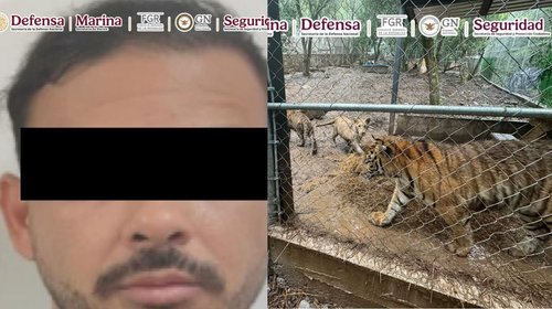 Confirma Harfuch captura de líder de célula criminal en NL