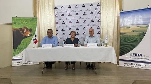Apoyarán con crédito a microempresarios de sector agroalimentario