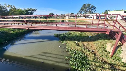 Alumnos corren peligro al detectar cocodrilos en Altamira