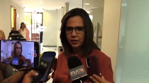 Caso de AHMSA pudo resolverse: Guadalupe Oyervides