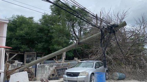 Árbol seco derriba postes en la colonia López Portillo de Reynosa