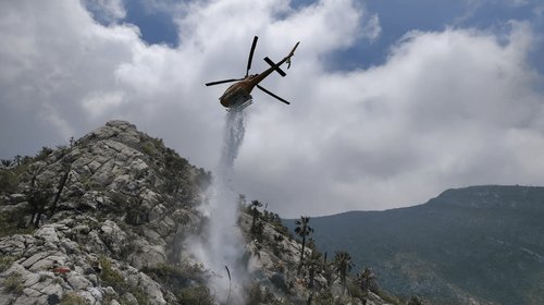 Controlan y liquidan incendio forestal en el Cerro del Fraile