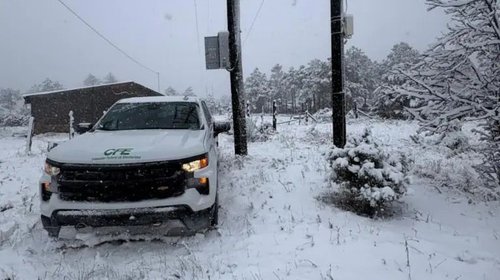 CFE dice tener energía suficiente ante tormenta invernal en EUA