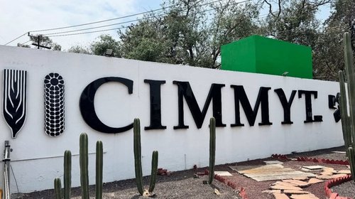 EUA invertirá $40 millones de dólares en el Cimmyt