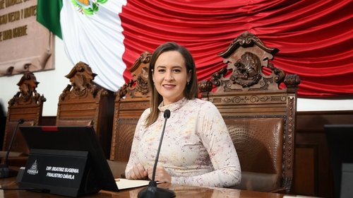 Pide Beatriz Fraustro Dávila recursos para combatir la rickettsia