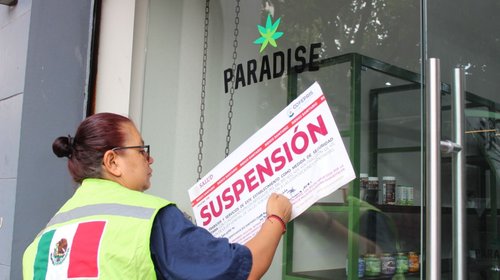Cofepris incauta productos de cannabis de empresa de Fox