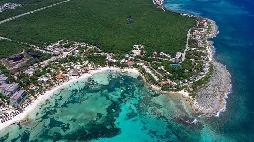 Descarta Cofepris Cyclospora en 16 hoteles de Riviera Maya