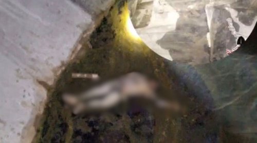 Colectivo hallan cuerpo durante jornada de búsqueda en Reynosa