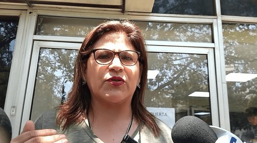 Con el PRIAN a ninguna parte: Sandra Pámanes 