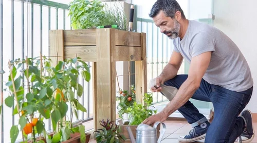 Con la riqueza botánica de México, crea tu oasis de bienestar