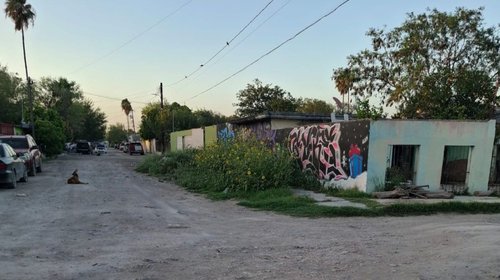 Denuncian acumulación de basura y maleza en colonia Benito Juárez