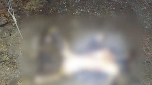 Tiran cuerpo de hombre y le prenden fuego en Guadalupe