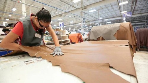 Cierre de Palliser dejará sin empleo a 900 trabajadores