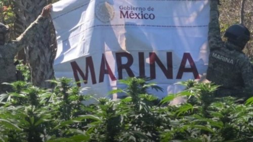 Desmantelan centros de droga y huachicol en Sinaloa y Chihuahua