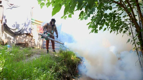 Repuntan casos de dengue tras lluvias; suman 5,772 contagios