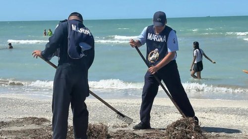Investigan derrame en Golfo de México; Pemex denuncia ante FGR