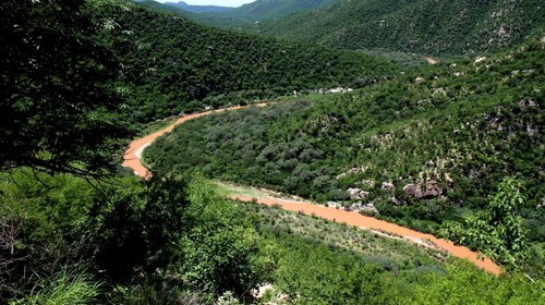 Denuncian penalmente a Grupo México por derrame en río Sonora