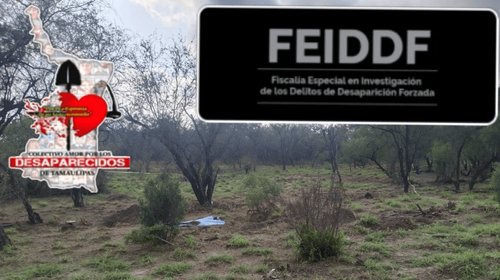 Retoman acciones en predio con restos humanos en Reynosa