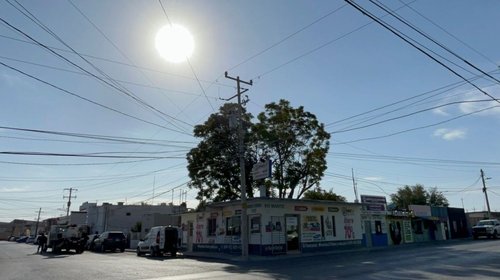 Entre nostalgia y recuerdos, se despiden de jacaranda de 50 años