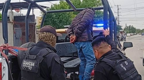 Detiene Guardia Estatal a hombre que mató a tres gatos en Reynosa
