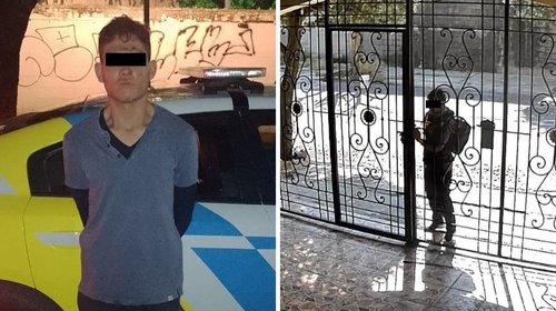 Cae presunto ladrón de casas; lo sorprenden arriba de árbol