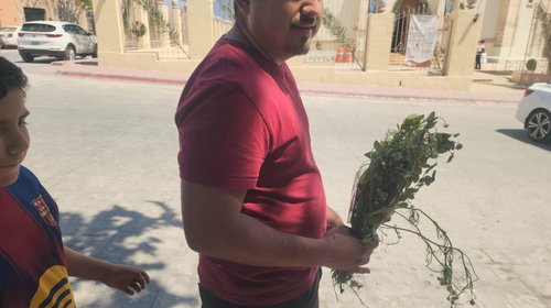Acuden fieles con palmas a la conmemoración por Domingo de Ramos
