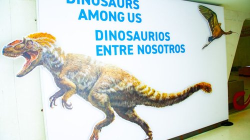 Dinosaurios y su vínculo con las aves ¿están entre nosotros?