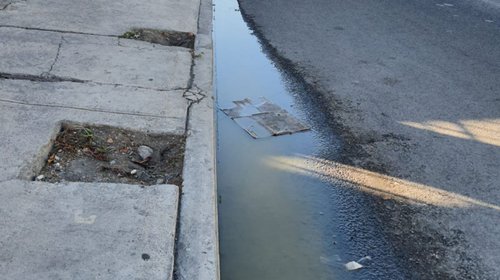 Atribuyen drenaje tapado en la Pedro Lozano a una avícola