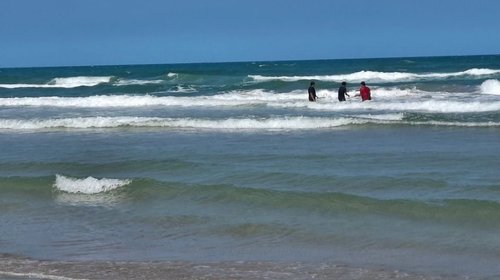 Primera Zona Naval activa Plan Marina ante manchas de crudo