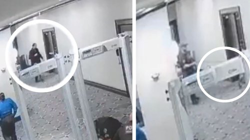 Perro K9 detectó amenaza antes de tiroteo en la Casa Blanca