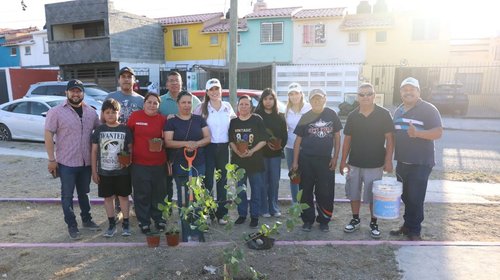 Encabeza Marimar Arroyo reforestación en Jardines de los Bosques