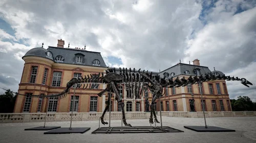 Subastan el esqueleto de dinosaurio 'más grande del mundo'