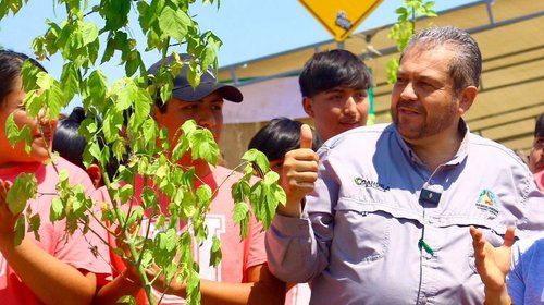 Ramos Arizpe supera los 2 mil 300 árboles plantados