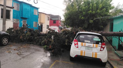 Tormenta provoca caída de árbol y cierres viales en Ramos Arizpe