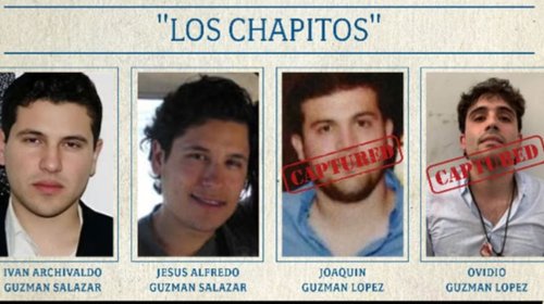 EUA reitera recompensa de US$10 millones por hijos de 'El Chapo'