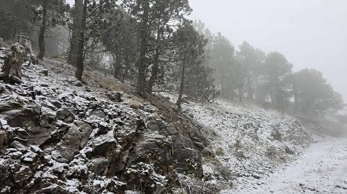 Reportan nevada en el Cerro del Potosí, en Galeana